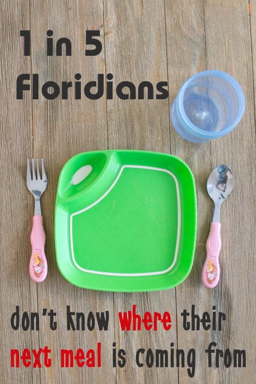 1 in 5 floridians don’t know where their next meal is coming from #feedfl
